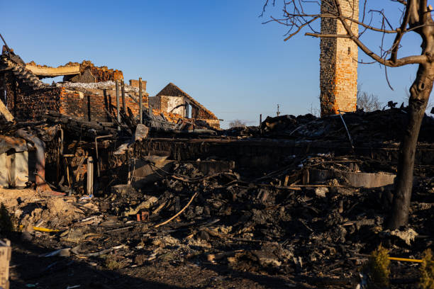 Reliable Content Restoration contractor in Prosper, TX by Fire Damage Flint